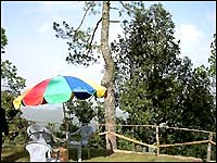 Kasaar Jungle Resort