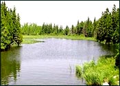 Kumarakom