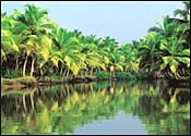 Thiruvananthapuram